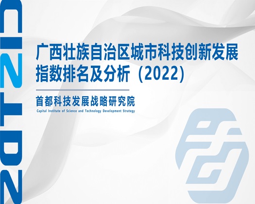 插进来舒服小视频【成果发布】广西壮族自治区城市科技创新发展指数排名及分析（2022）